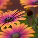 畅享免费中国电视剧,尽情追剧不花一分钱! 02yb5x