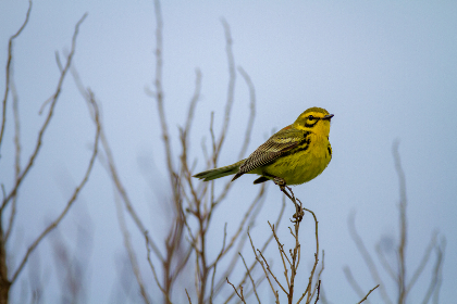 简要概述中国文化的独特魅力与深厚底蕴