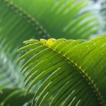 精彩纷呈的成品油门人漫画大全,尽享创意与幽默 0z2ow