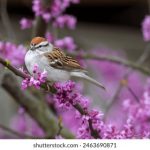 畅享免费观看高清电影版,尽情体验视听盛宴 282nio1f6