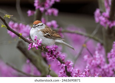 畅享免费观看高清电影版，尽情体验视听盛宴