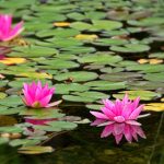 精彩电影大全与经典漫画推荐一网打尽 4p8g3vgxp