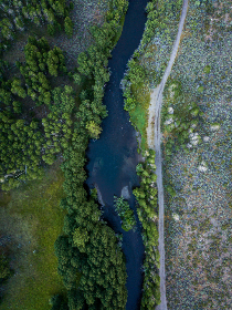 第一版主首页：探索社区交流新平台，开启互动新时代