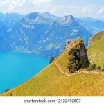 畅享八戒影院在线观看,尽情体验精彩影视世界 5udxklw6