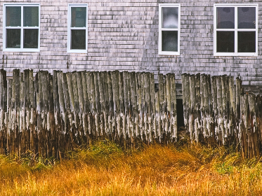 畅享八戒影院在线免费观影，尽情追剧无压力