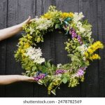 畅享免费在线看美剧的最佳平台推荐 9w481