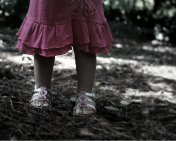 策驰影院 电视剧免费观看大全：畅享热门剧集，尽在策驰影院！