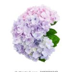 畅享免费电影线上观看,尽情体验精彩影片 hbkin6tvrd