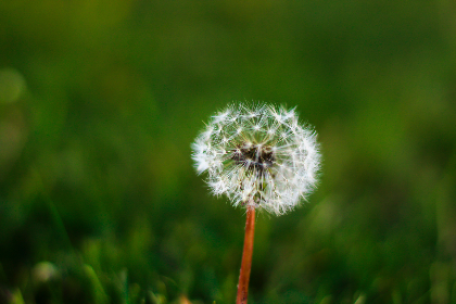 畅享健康生活：全面果汁导航网站推荐与使用指南