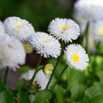 精彩纷呈的脱轨电视剧大全推荐与解析 nsliwq0