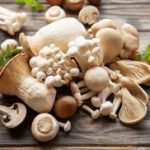 畅享八戒私人影院免费观影,尽情体验影视盛宴 q8iihi