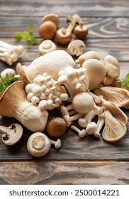 畅享八戒私人影院免费观影，尽情体验影视盛宴