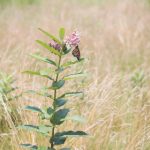 畅享免费漫画:探索精彩韩漫世界的无限乐趣 qq5ludh33o