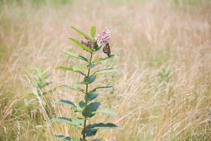 畅享免费漫画：探索精彩韩漫世界的无限乐趣