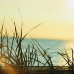 畅享免费韩漫大全在线观看,尽情探索精彩故事 qw3949c