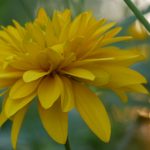 畅享人人视频官网电脑版在线观看的最佳体验 r0cc8a