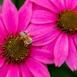 畅享免费电影在线播放高清,尽情体验影院级视听盛宴 tfvwk9n39