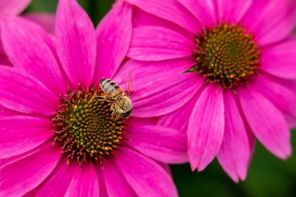畅享免费电影在线播放高清，尽情体验影院级视听盛宴