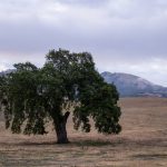 畅享免费动漫片:探索无限精彩的动画世界 v3ygu7