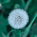 畅享免费追美剧的最佳APP推荐与使用指南 w6do3nj8e