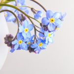 畅享免费电视剧在线看网站,海量影视资源一网打尽 zqszaut