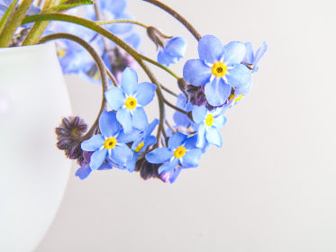 畅享免费电视剧在线看网站，海量影视资源一网打尽