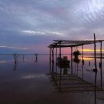 第一大弟子漫画改名后的新篇章探讨 zs8mez00t9